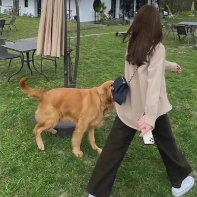 俏皮女学生